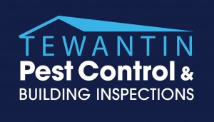 Building and Pest Inspections