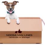 Van Lines Dog